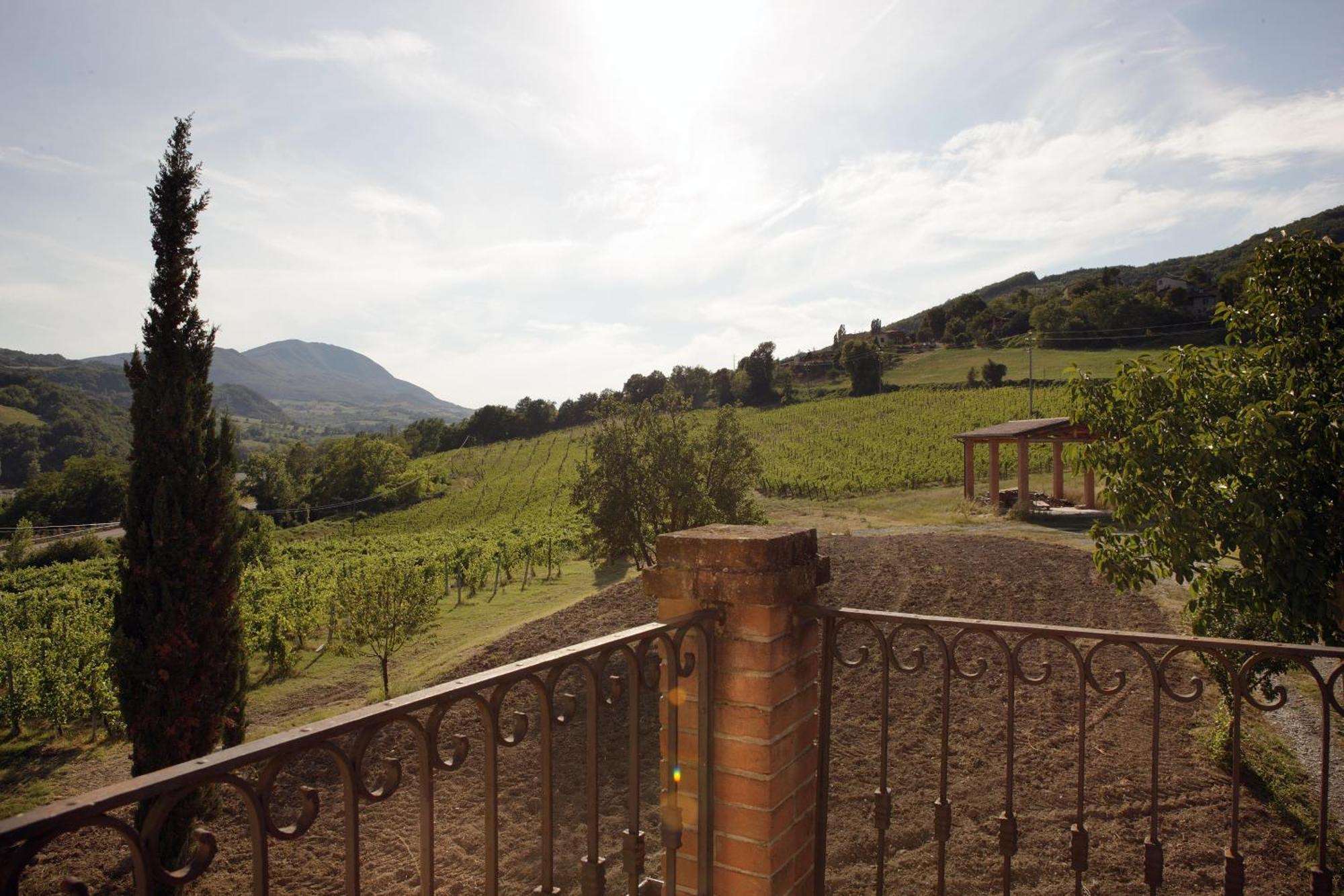 Podere Pradarolo Varano deʼ Melegari Exteriör bild